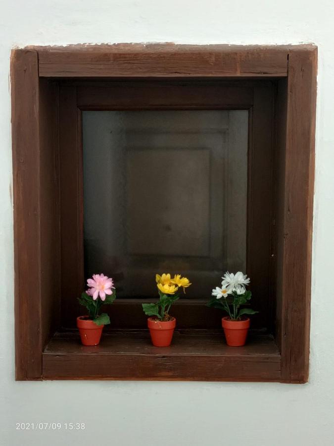 Florhouse Pacini Apartment คาตาเนีย ภายนอก รูปภาพ